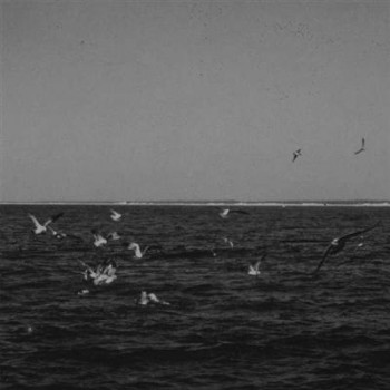 Cemeteries - Barrow (2015) Cemeteries - Barrow (2015)