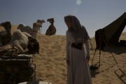 Королева пустыни / Queen of the Desert (Николь Кидман, Джеймс Франко, 2015) 2c8ea3425969319