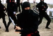 Американский ниндзя / American Ninja (1985) Майкл Дудикофф 9f96f5426085673