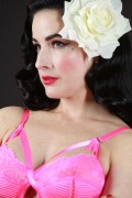  Дита фон Тиз (Dita von Teese) Vintage Lingerie Classic 1950's Photoshoot 2015 (111xHQ) 1c543b427047767