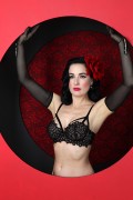  Дита фон Тиз (Dita von Teese) Vintage Lingerie Classic 1950's Photoshoot 2015 (111xHQ) 521b40427047568