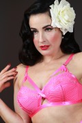  Дита фон Тиз (Dita von Teese) Vintage Lingerie Classic 1950's Photoshoot 2015 (111xHQ) 7ebdca427047683