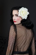  Дита фон Тиз (Dita von Teese) Vintage Lingerie Classic 1950's Photoshoot 2015 (111xHQ) 84f3f3427047331