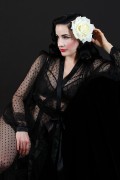  Дита фон Тиз (Dita von Teese) Vintage Lingerie Classic 1950's Photoshoot 2015 (111xHQ) C44eec427047440