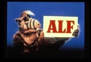 Альф / Alf (сериал 1986-1990)  5d49d0429580737