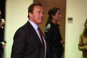 Арнольд Шварценеггер (Arnold Schwarzenegger) 2015 Tribeca Film Festival World Premiere narrative 'Maggie' at BMCC Tribeca PAC in New York - April 22, 2015 - 99xHQ 8b8436432980253