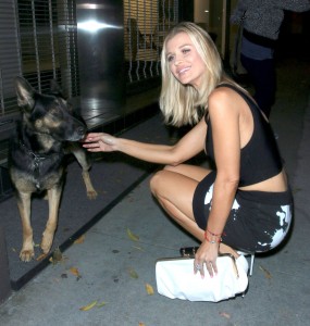 ImageBam image upload