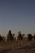 Королева пустыни / Queen of the Desert (Николь Кидман, Джеймс Франко, 2015) 681705435046276