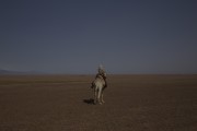Королева пустыни / Queen of the Desert (Николь Кидман, Джеймс Франко, 2015) B48f27435047446
