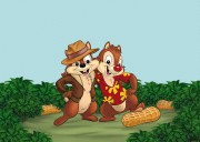 Чип и Дейл спешат на помощь / Chip 'n Dale Rescue Rangers (сериал 1988-1990) C20e29435353657