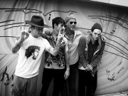 Red Hot Chili Peppers  77466f435392258
