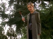 Баффи истребительница вампиров / Buffy the Vampire Slayer (сериал 1997-2003) D474f7438142734