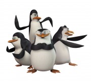 Пингвины из Мадагаскара / The Penguins Of Madagascar (сериал 2008-2012) 584067438618844