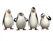 Пингвины из Мадагаскара / The Penguins Of Madagascar (сериал 2008-2012) 584f6e438618853