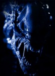 Чужие против Хищника: Реквием / AVPR: Aliens vs Predator - Requiem (2007) 4d2cf4438777613
