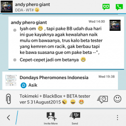 ImageBam image upload