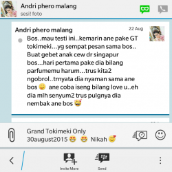 ImageBam image upload