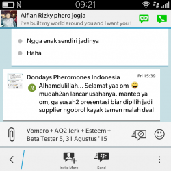 ImageBam image upload