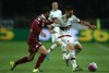 Фотогалерея Torino FC - Страница 4 Adee2d441463055