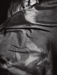 c26845444004285.jpg