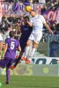 фотогалерея ACF Fiorentina - Страница 10 4e425b444490905