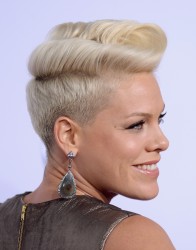 Pink - Pink - 40th American Music Awards at Nokia Theatre L.A. Live in Los Angeles - Nov. 18,2012 (40xHQ) Fd3258444528743