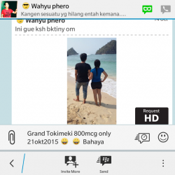 ImageBam image upload