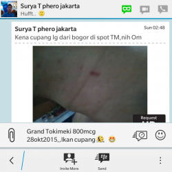 ImageBam image upload