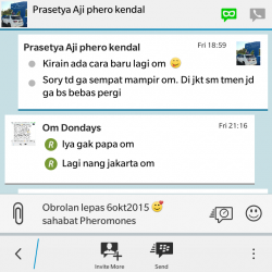 ImageBam image upload