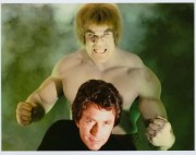Невероятный Халк / Incredible Hulk (сериал 1978-1982) 31cf4e445857831