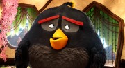 Сердитые птички / Angry Birds (2016) 9f873a445875437
