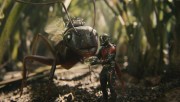 Человек-Муравей / Ant-man (Пол Радд, Майкл Дуглас, 2015)  00728c451371676
