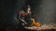 Человек-Муравей / Ant-man (Пол Радд, Майкл Дуглас, 2015)  0a1e4e451371660