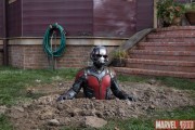 Человек-Муравей / Ant-man (Пол Радд, Майкл Дуглас, 2015)  556954451371793