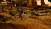 Человек-Муравей / Ant-man (Пол Радд, Майкл Дуглас, 2015)  E7ec0a451371509