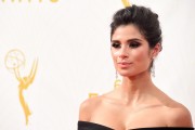 Diane Guerrero 2288b1451441457