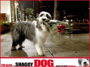 Лохматый папа / Shaggy Dog (2006) 405e7f452466768