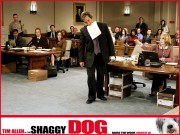 Лохматый папа / Shaggy Dog (2006) 49b773452466804