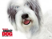 Лохматый папа / Shaggy Dog (2006) 661539452466668