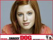 Лохматый папа / Shaggy Dog (2006) 79ca65452466789