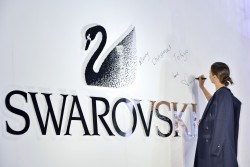 32e5d2452983374.jpg