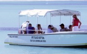 Селин Дион (Celine Dion) vacation in Anguilla, British West Indies, 12.02.2006 (48xHQ) 7568fe453101775