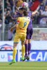 фотогалерея ACF Fiorentina - Страница 11 159889472943296