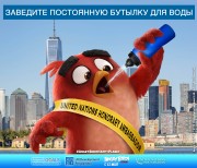 Сердитые птички / Angry Birds (2016) 90aeb1473720995
