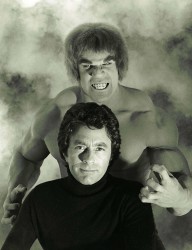 Невероятный Халк / Incredible Hulk (сериал 1978-1982) D329e7474494863