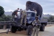 Операция «Слон» / Operation Dumbo Drop (Дэнни Гловер, Рэй Лиотта, Дэнис Лири, 1995) F99158474816225