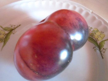 Лазурный гигант F1 - Л — сорта томатов - tomat-pomidor.com - отзывы нафоруме